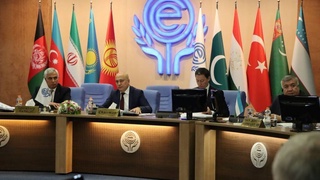 В Тегеране состоялся «мозговой штурм» на уровне заместителей министров иностранных дел стран-членов ОЭС