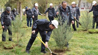 «Жасыл мекенге» айналып келе жатқан Шірін қаласы