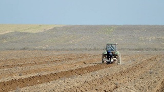 Sirdaryoda har bir fermer 2 gektardan erini yoshlarga bo‘lib beradi