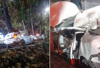 Тошкентда “Cobalt” йўл четидаги дарахтга бориб урилди