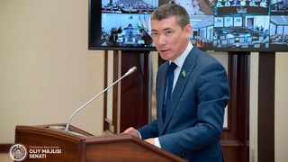 Сенаторами отклонен закон о внесении изменений и дополнений в законодательство об оружии