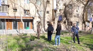 В Ташкенте проверили информацию о вырубке зеленых насаждений на улице Аккурган