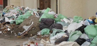 Сколько штрафов за незаконный выброс мусора было выписано в Ташкенте за один день?