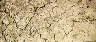 Yomgʻir chetlab oʻtdi: Litva va Polsha qurgʻoqchilikdan aziyat chekmoqda