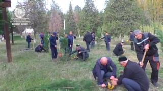 Namanganda tibbiyotchilar bogʻi yaratilmoqda