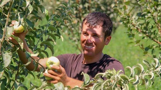 Земельная реформа - фактор экономического развития