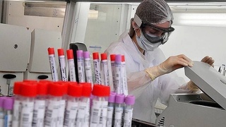 В России началась финальная стадия испытаний вакцины от коронавируса