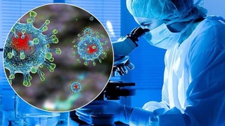 Ученые выяснили, что коронавирус SARS-CoV-2 мутирует раз в неделю