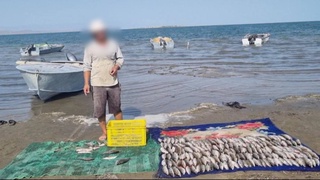 Жиззахда ноқонуний балиқ овлаш натижасида табиатга 57 миллион 750 минг сўм зарар етказилди