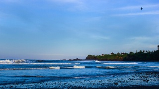 Глобал исиш туфайли океанлар яшил тусга кириб бормоқда – олимлар