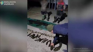 Незаконный вылов рыбы в реке Сырдарья причинил ущерб животному миру на 360 млн сумов