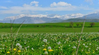 Осы аптада құрғақ және жылы ауа райы күтілуде