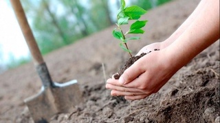 Турақлы раўажланыўдың инновациялық усыллары