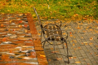 Келаётган ҳафта Ўзбекистон бўйича ёмғирли об-ҳаво кузатилади