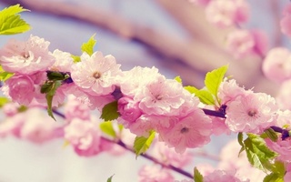 Дам олиш кунлари Кавказ ҳудудларидан салқин ҳаво массалари кириб келади