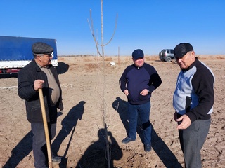 Qo'ng'irotda "Qashqadaryo bog'i" tashkil etildi