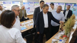 Экологический сад и виртуальная карта региона, или Какую повестку предлагают навоийские ученые