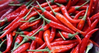 7 ойда 9,8 миллион АҚШ долларига тенг бўлган қалампир экспорт қилинди