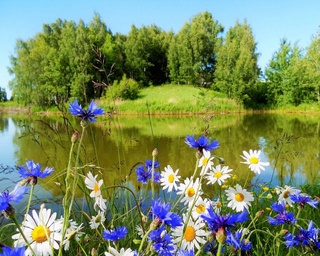 Weather forecast for July 25