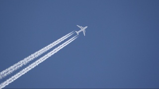 Ряд российских авиакомпаний получил допуск на регулярные рейсы в Узбекистан