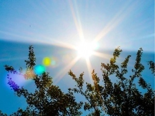 Ertaga havo harorati 45 darajagacha koʻtariladi