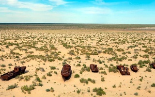 Ежегодно пыльные бури Арала выносят до 75 млн тонн песка и соли на территорию Узбекистана и других стран ЦА