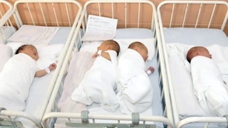 Қайси ҳудудда энг кўп туғилиш қайд этилди? 