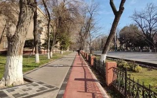 Прогноз погоды на 24 января