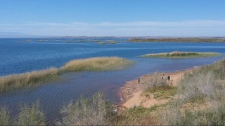 Экологию Айдар-Арнасайской системы озер будут регулярно мониторить