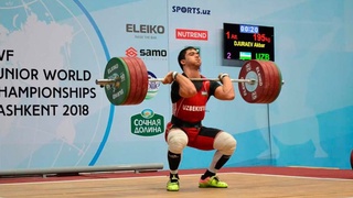 На следующее утро он проснулся знаменитым