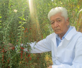 Олий тоифали доришунос: “Одамлар дори воситаларини эмас, шифобахш гиёҳларни ичишни кўпайтириши керак”