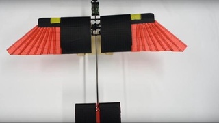 Швейцарияда уча оладиган ва суза оладиган робот ихтиро қилинди