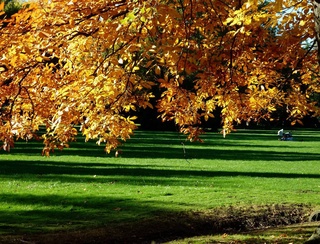 14-сентябрь күни ушын ҳаўа райы ҳаққында мағлыўмат