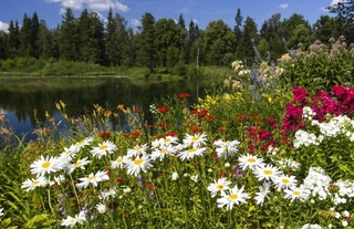 Прогноз погоды на 10 августа