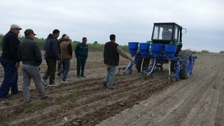 Дәслепки культивациялаўдың сапасы – мол өнимниң тийкары