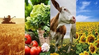 ЕС поддерживает реформирование сельского хозяйства в Узбекистане