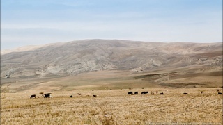 Бугун Ўзбекистон бўйича ёғингарчилик кутилмайди