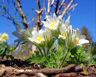 Прогноз погоды на день 16 марта
