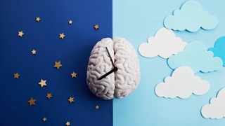 Ma'lumotlarni eslab qolish uchun kunning eng yaxshi vaqti ma'lum qilindi