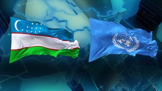 Президент Узбекистана примет участие в мероприятиях 80-й сессии Генеральной Ассамблеи ООН