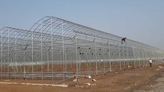 Оңтүстік Корея компаниясы Сырдарияда «ақылды» жылыжай салады