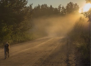 Эртага айрим ҳудудларда чанг-тўзон кўтарилиши мумкин