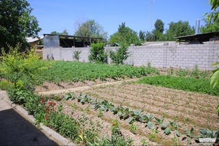 Жерден ғәзийне таўып атырғанлар