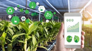 Эксперты обсудили перспективы экспорта и внедрение инновационных технологий в садоводство