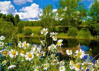 Weather forecast for August 14