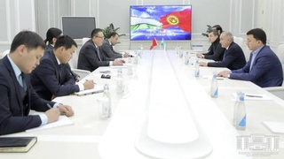 Кыргызстан заинтересован в организации работы служб благоустройства Ташкента