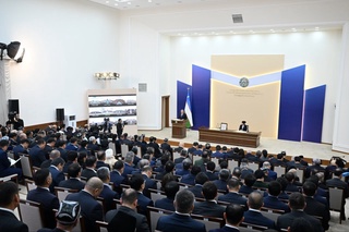 Сирдарёда йилига камида 2 минг гектар шоли майдони томчилатиб суғоришга ўтказилади