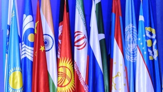 ШҲТ халқ дипломатиясининг Тошкент форуми бўлиб ўтади