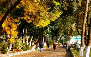 Прогноз погоды на 12 октября