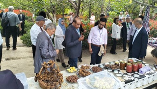 Иштирокчиёни ФАО аввалин ноҳияи сайёҳии Самарқандро диданд